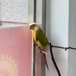 태주반점 리뷰 사진