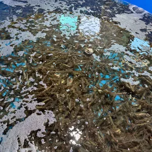 진흥수산 리뷰 사진