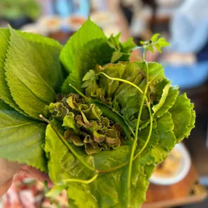 선봉산더미오리 대표 사진