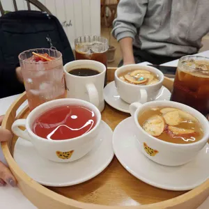 원더풀치타 대표 사진
