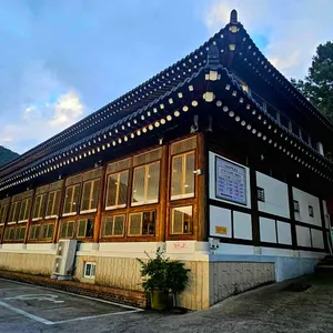 벽오동 리뷰 사진