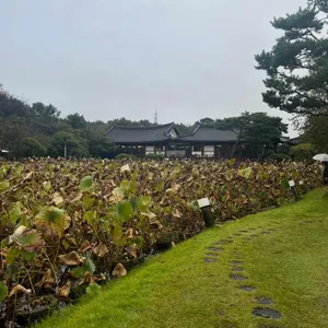 너른마당 대표 사진