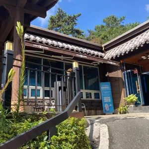 향유정 속초이모네찜 리뷰 사진