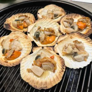 모녀가리비 사진