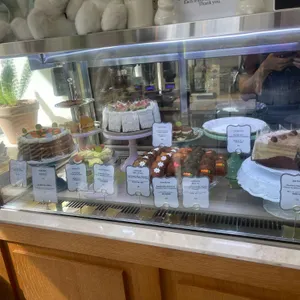 카페 드 래빗 사진