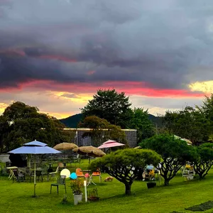 보러 카페 리뷰 사진