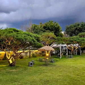 보러 카페 리뷰 사진