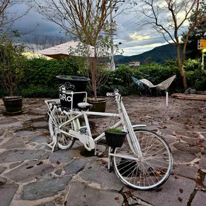 보러 카페 리뷰 사진