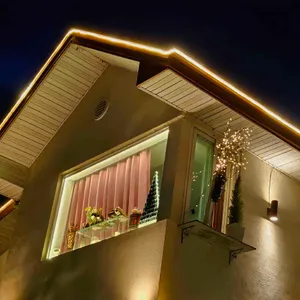 보러 카페 리뷰 사진