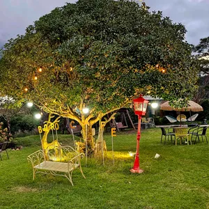 보러 카페 리뷰 사진