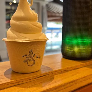 레종데트르 사진