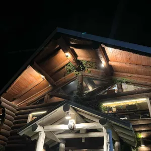 로빙화 리뷰 사진