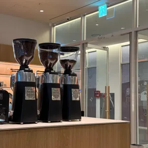 알레그리아 리뷰 사진