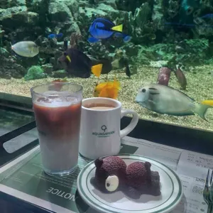 아쿠아가든 사진 1