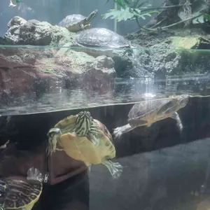 아쿠아가든 리뷰 사진