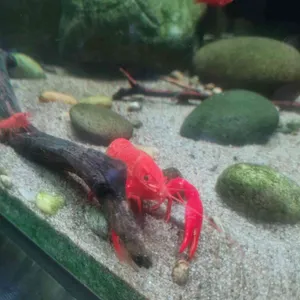 아쿠아가든 사진