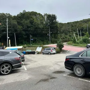 콩나라 리뷰 사진