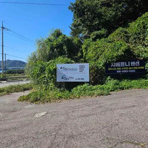 석모로푸드카페 리뷰 사진