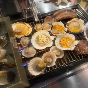 하와이조개 사진