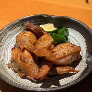 슈보 카가리 사진