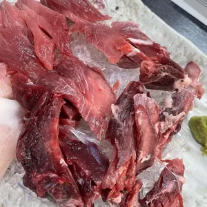 형민참치 사진