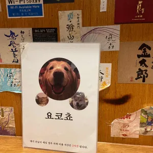 요코쵸 리뷰 사진