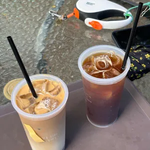 오페라 디바스 사진 1