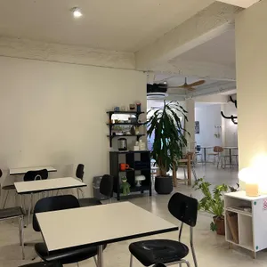 몰러 리뷰 사진