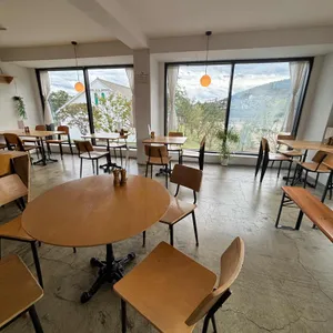 할리우드 리뷰 사진