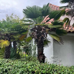 박원숙의커피앤스토리 리뷰 사진