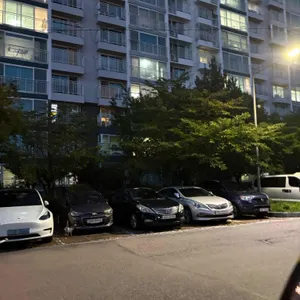 고강도 리뷰 사진