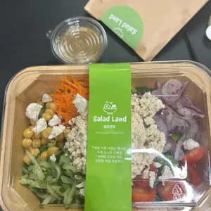 샐러랜드 리뷰 사진