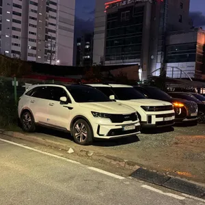 바다이야기 리뷰 사진