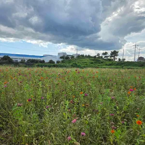 오른 리뷰 사진