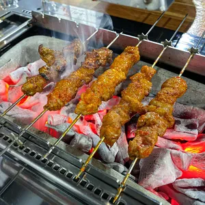 양과의하루 사진