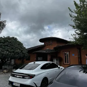 고향식당 리뷰 사진