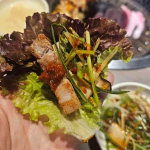 거북이동네 대표 사진