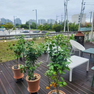 미끄마끄 리뷰 사진