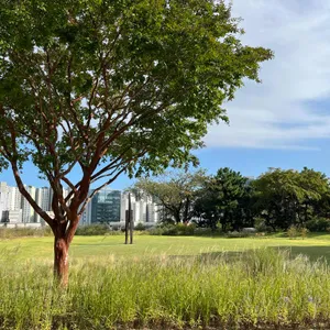 모모스커피 리뷰 사진