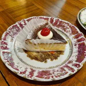 해피베어데이 사진