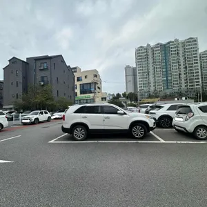 토지 베이커리&브런치 카페 리뷰 사진