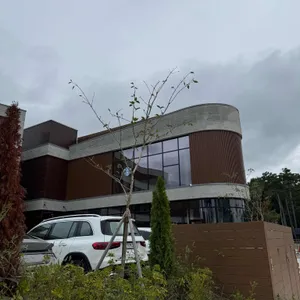 스타벅스 리뷰 사진