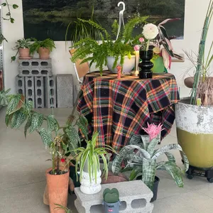 우시아 대표 사진