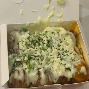 타코파파비어 사진