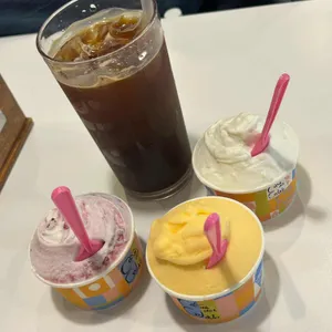 젤라떼리아 사진