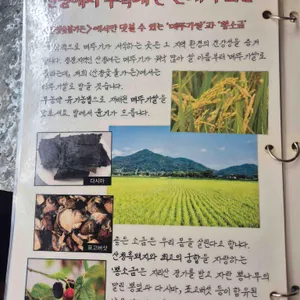 산청숯불가든 리뷰 사진