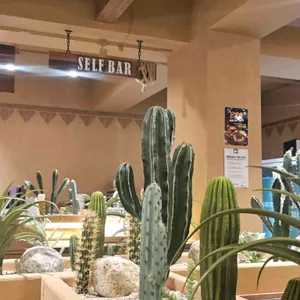 갓잇 리뷰 사진