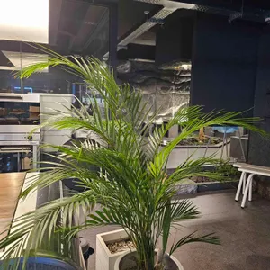 마스 로스터스 대표 사진