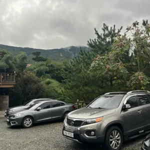 홍차왕자 리뷰 사진