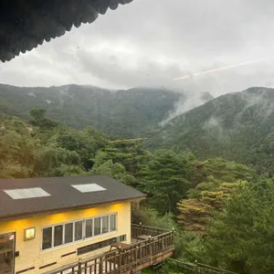 홍차왕자 리뷰 사진